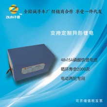 48伏60伏磷酸铁锂两轮车电动车专用锂电池